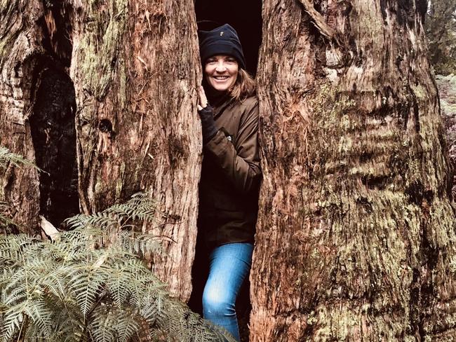 Hilary Burden, Undersong walking in northern Tasmania.