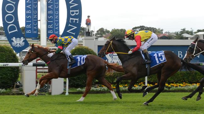 Wack'em runs second to Mistral Thief at Doomben. Picture: Trackside Photography.