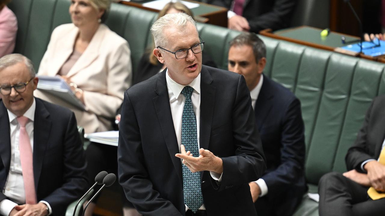 Home Affairs Minister Tony Burke in question time. Picture: NewsWire / Martin Ollman