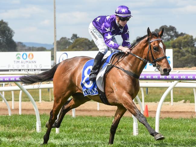 Chapada ridden by Patrick Moloney wins his maiden at Wangaratta back in October. Picture: Brett Holburt/Racing Photos 