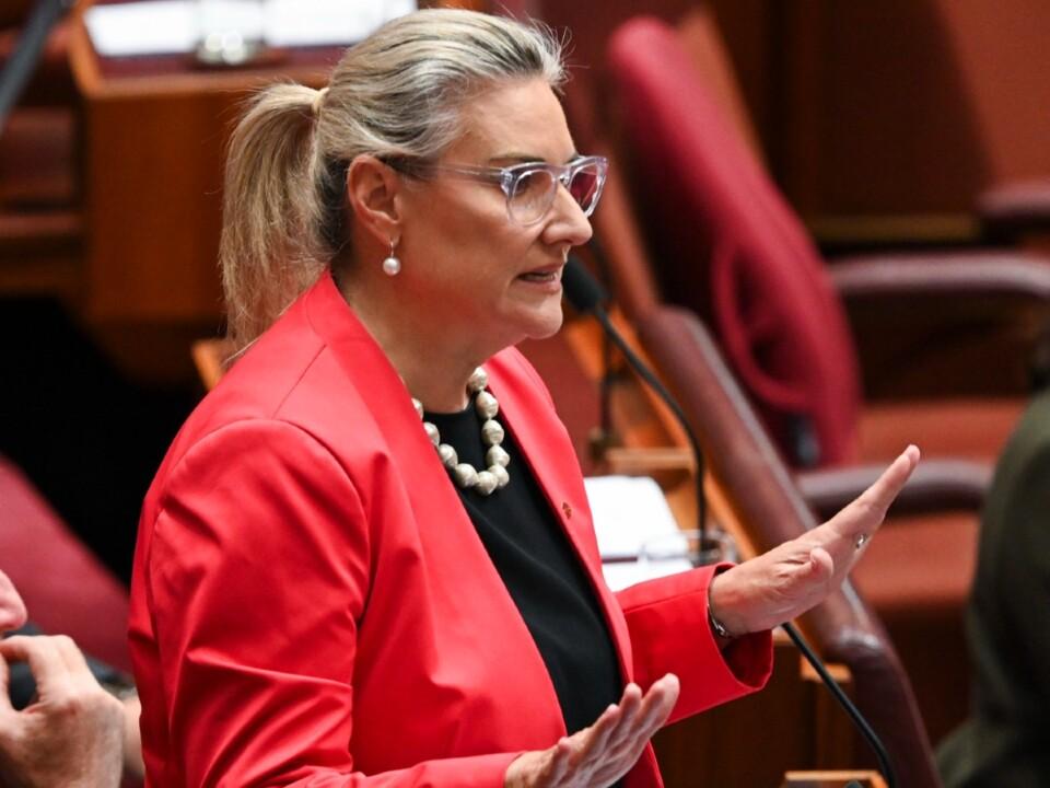 Liberal Senator dumped from preselection