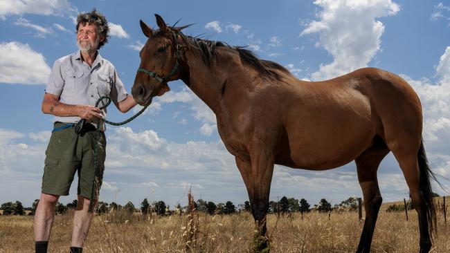 David Ellis is supporting plans for a solar farm on his property, though his neighbours do not. Picture: David Geraghty