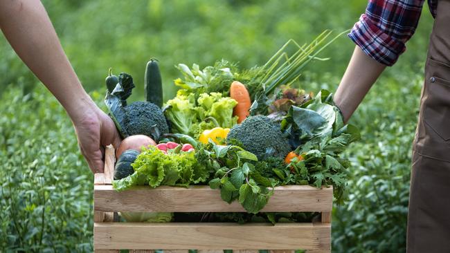 No fertiliser! A crate of organically grown vegetables. Picture: iStock