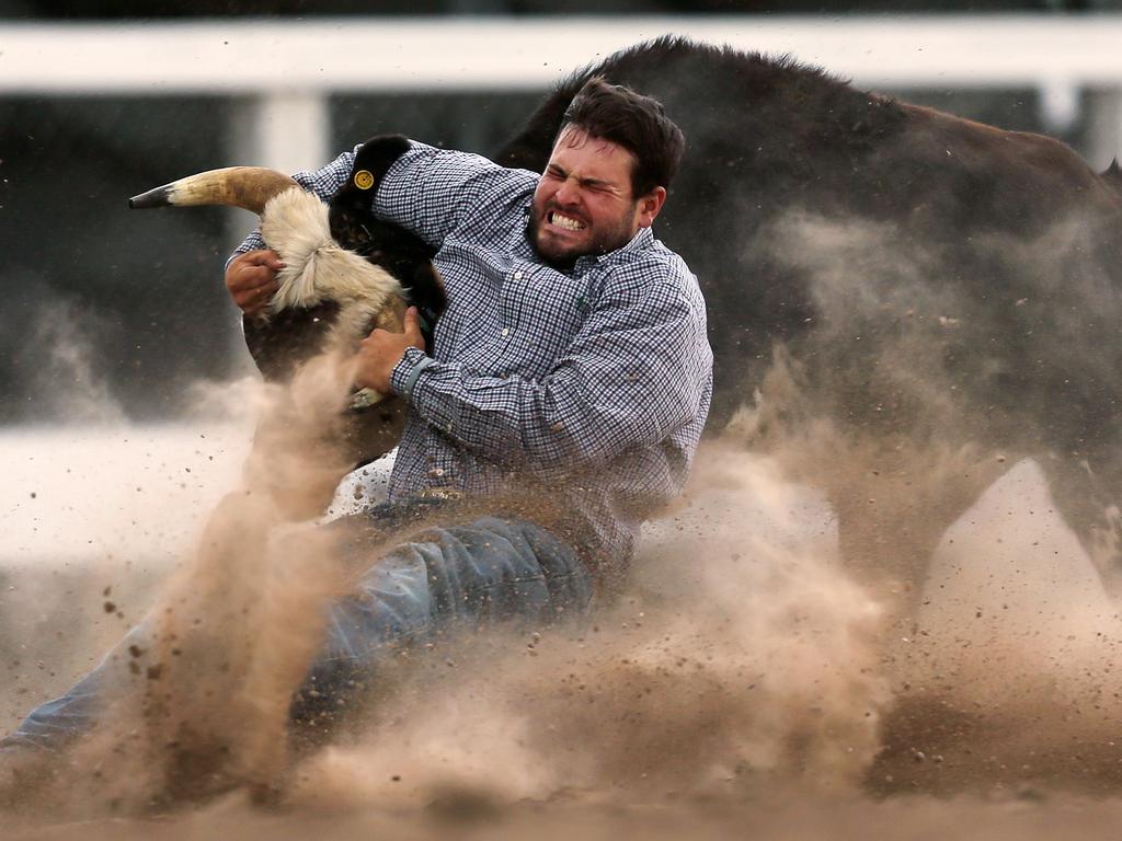 Baxtor Roche, of Tremonton, Utah, tries to bring down his steer in the third section of the steer wrestling event during the first day of the Cheyenne Frontier Days Rodeo at Frontier Park Arena in Cheyenne, Wyo. Picture: Blaine McCartney/Wyoming Tribune Eagle via AP