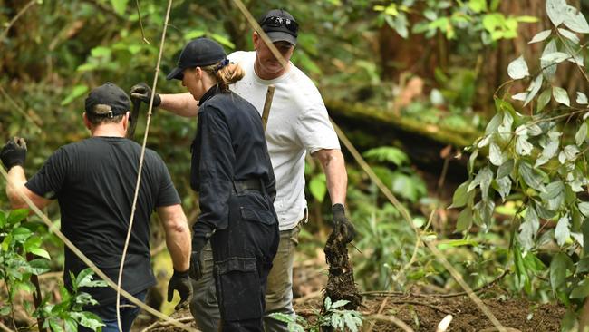 The search is taking place off Batar Creek Rd, less than 900m from the former Tyrrell family home. Picture NCA NewsWire / Trevor Veale