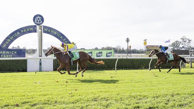 $20,000 buy Penpel defeats $3m filly Ernaux at Warwick Farm on Wednesday. Picture: Bradley Photos
