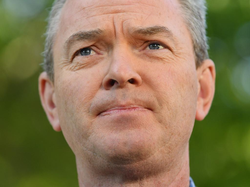 According to the Pyne Bishop didn’t have enough votes to topple Peter Dutton.