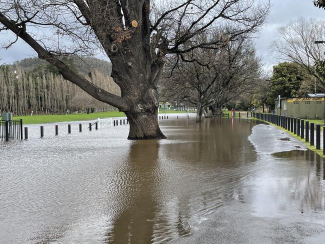 Flooding along New Norfolk's Esplanade. Picture: Genevieve Holding