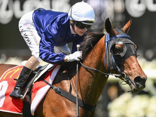 The Map ridden by Jamie Kah wins the The Macca's Run at Flemington Racecourse on November 07, 2023 in Flemington, Australia. (Photo by Morgan Hancock/Racing Photos via Getty Images)