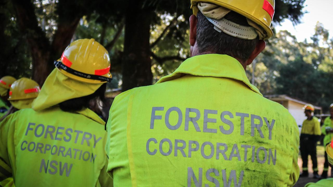 More than 45 Forestry Corporation of NSW firefighters have honed their skills in a five-day training camp as the official fire season starts early on the North Coast.