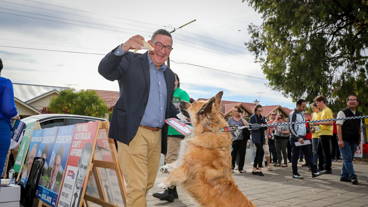 C STEVE GEORGANAS, LABOR, ADELAIDE. Has big shoes to fill after moving to, and winning, the seat of Adelaide - previously held by former Labor Minister Kate Ellis. He caused some internal rumblings this year after swapping factions, but has barely been seen or heard of since the election.