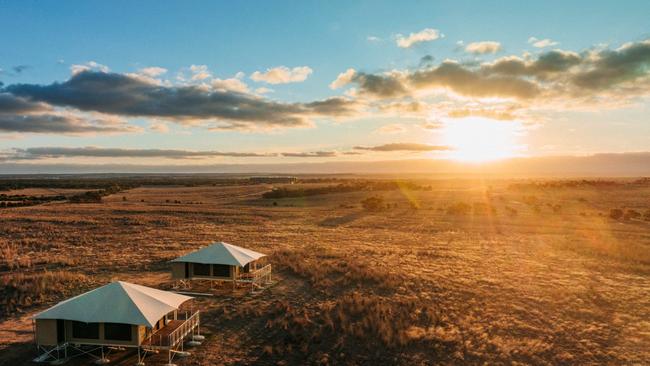 Gorgeous glamping at Monarto Safari Resort. Picture: Mushroom Creative.