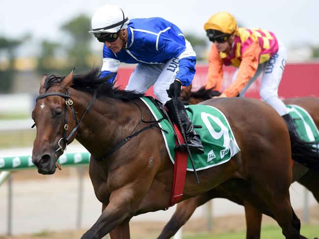 Race 1 winner Ligreb (9) riden by Dan Griffin at the Gold Coast Turf Club. (Photos/Steve Holland)