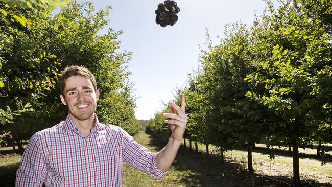 Henry Terry of Tasmanian Truffles at Deloraine. PICTURE CHRIS KIDD