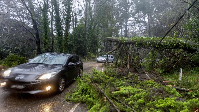 Debris scattered on a road in the Dandenongs, near Olinda. Picture: David Geraghty