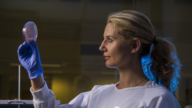 Dr Katharina Richter, NHMRC Biomedical Researcher in the Basil Hetzel Institute for Translational Health Research, The University of Adelaide. Photo: Andrew Beveridge