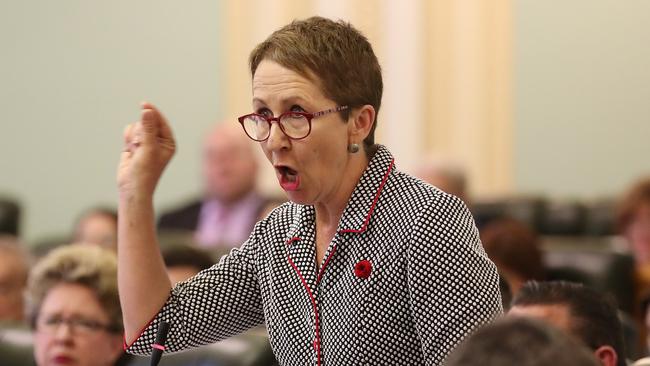 Minister for the Prevention of Domestic and Family Violence Di Farmer. File picture: Liam Kidston.