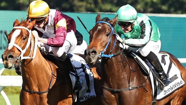 Shohisha (right) jumped from 1100m to 1600m to win at Randwick. Picture: Getty Images