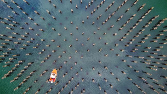 A single boat navigates its way through the skeletal pillars of Princes Pier. Picture: Alex Coppel.