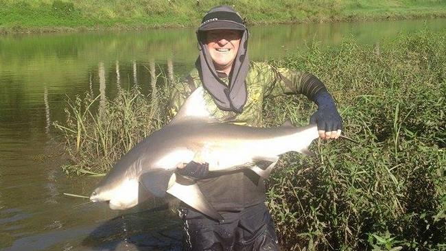 Bulls sharks in Brisbane River prompt warning signs | The Courier Mail