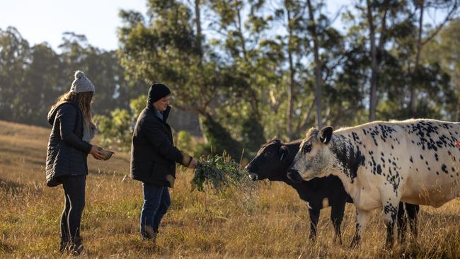 Paradise Road Farm. Picture: Jess Bonde