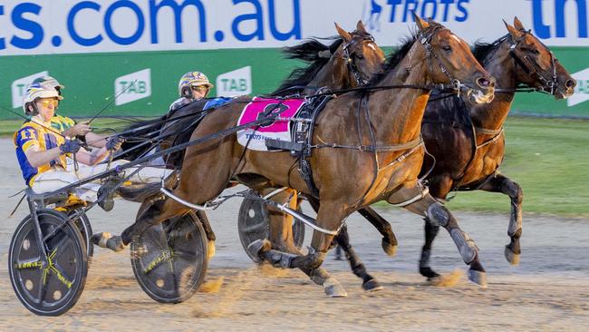 Frankie Ferocious has booked a place in The TAB Eureka Picture: Stuart McCormick