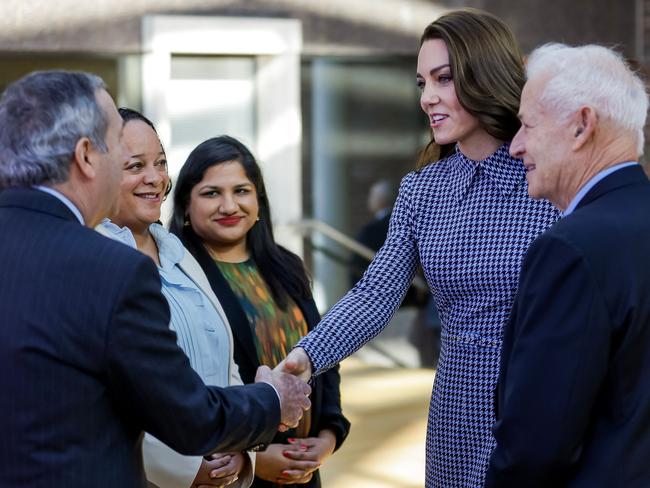 The princess visits The Centre on the Developing Child at Harvard University. Picture: AFP