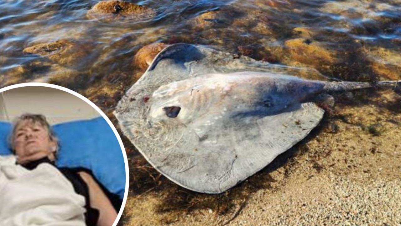 Woman flown to hospital after stingray attack