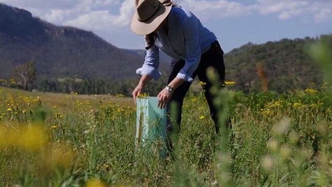 Activities and Conservation Manager, Simone Brooks, said the regeneration of the landscape has been ‘incredibly inspiring’. Picture: Supplied