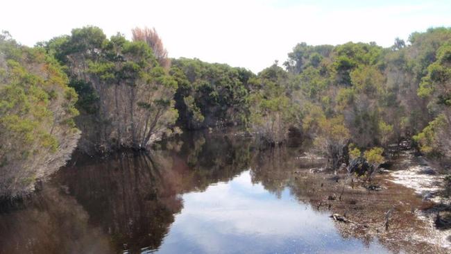 Part of the 40ha block on Flinders Island bought by Leanne Donaldson.