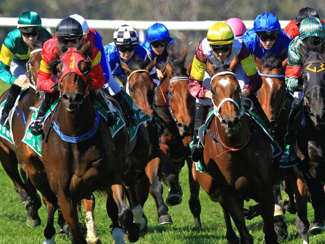 Taree, Bathurst tips: Bee ready to buzz her rivals