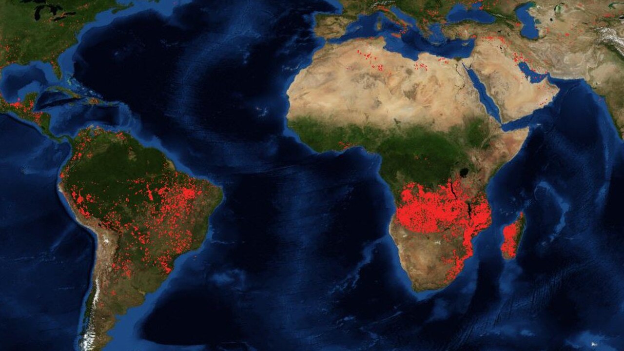 Amazon fires African fires climate change rainforest crisis | news.com ...