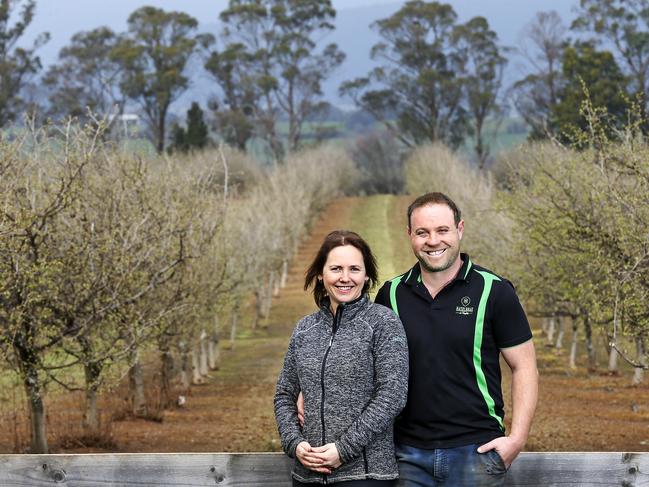 Award-winning hazelnut growers Mark Delphin and Christie McLeod of Hazelbrae farm at Hagley. PICTURE CHRIS KIDD