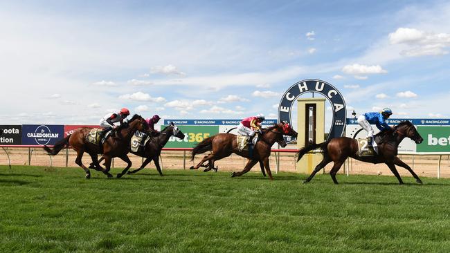 Moama Bowling Club Echuca Cup. Picture: David Smith