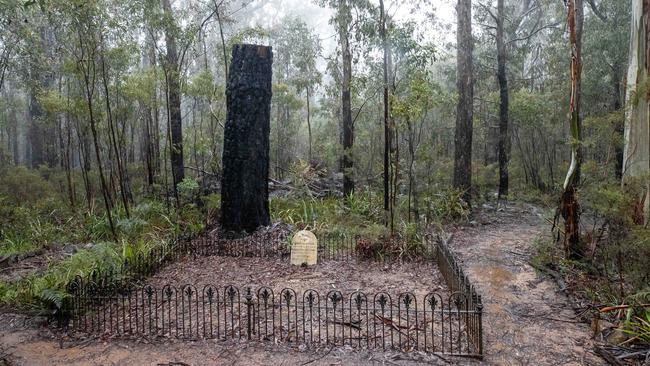 A historic grave within the search zone. Picture: Jason Edwards