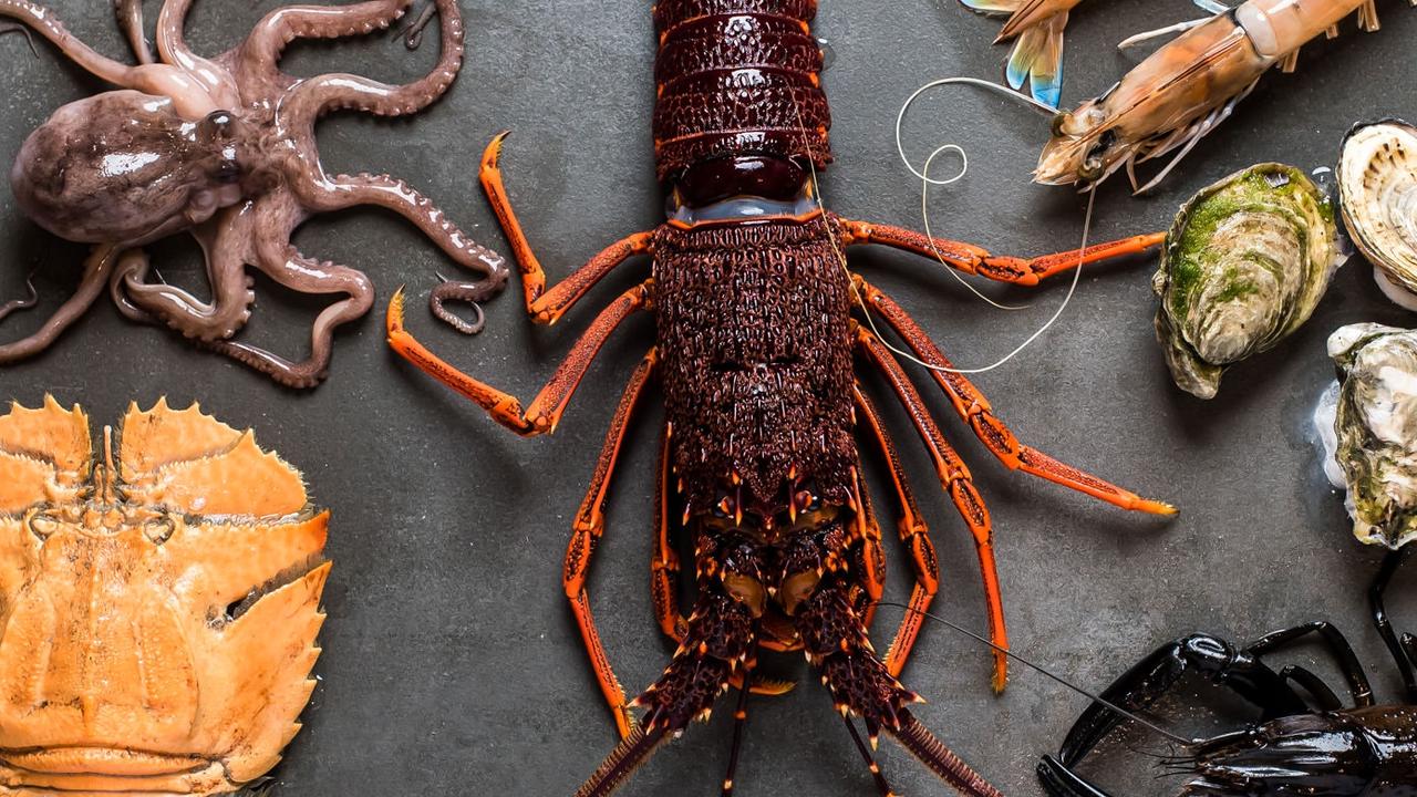 Fresh seafood at Angler, Stirling. Picture: Meaghan Coles