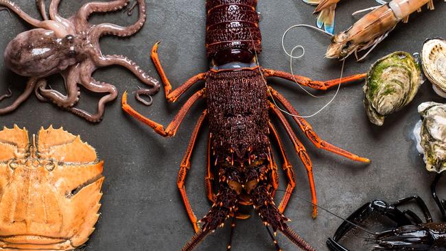 Fresh seafood at Angler, Stirling. Picture: Meaghan Coles