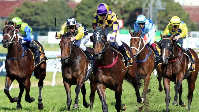 Evacuation will head to Melbourne for a crack at the Caulfield Guineas. Picture: Simon Bullard