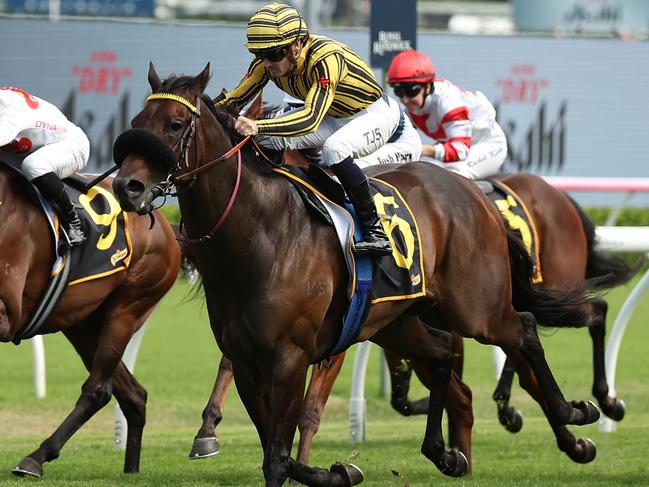 SYDNEY, AUSTRALIA - MARCH 08: Tyler Schiller riding Jedibeel   win Race 6 Schweppes Challenge Stakes during Sydney Racing at Royal Randwick Racecourse on March 08, 2025 in Sydney, Australia. (Photo by Jeremy Ng/Getty Images)