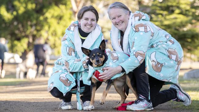 Casey and Debra Davies with Ruby during the Million Paws Walk at the Domain. Picture: Chris Kidd