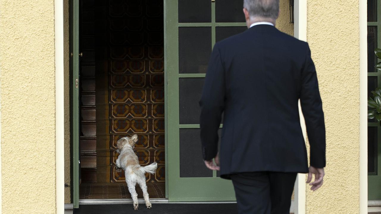 Mr Albanese said he was joking when he said he might name the plane after his dog. Picture: NCA NewsWire/Gary Ramage