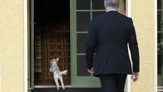 Mr Albanese said he was joking when he said he might name the plane after his dog. Picture: NCA NewsWire/Gary Ramage