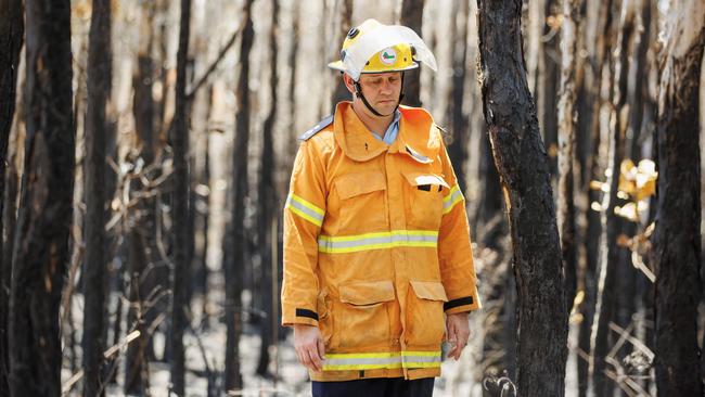 Fire Area Support Officer Daniel Sanderman in the fire zone of the recent bushfires at Beerwah on the Sunshine Coast. Picture Lachie Millard