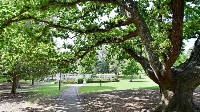 Wahroonga Park in Wahroonga.