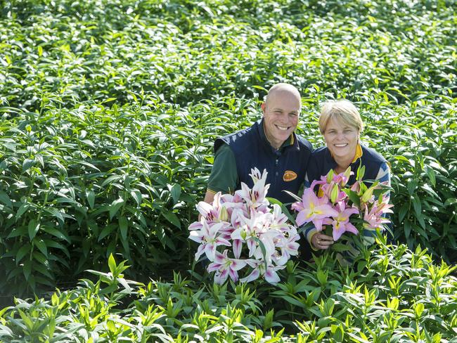 FOCUS: Sunny Hill Flowers Rob and Mariske De Witt from Sunny Hill Flowers at Silvan produce up to six million stems of flowers a year from their farm, which includes 6.2ha of glasshouse and .Pictured: Rob and Mariske De Witt from Sunny Hill Flowers with lillies.PICTURE: ZOE PHILLIPS