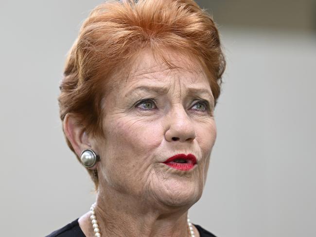 One Nation Leader Pauline Hanson/ Picture; Martin Ollman