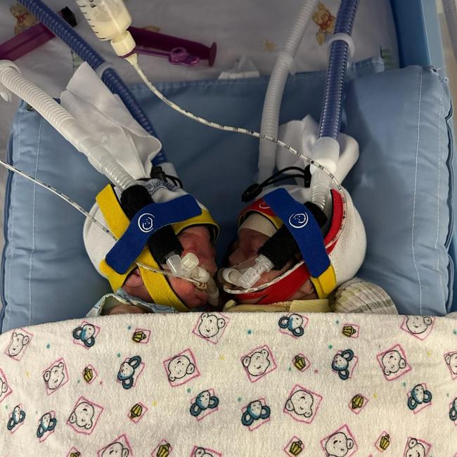 North Queensland toddlers Lathan and Layne were born three months premature in October 2022.