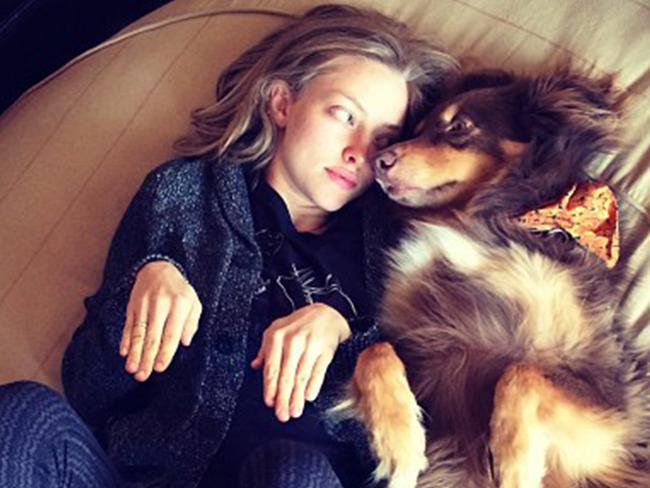 Amanda Seyfried and dog Finn. Picture: Instagram