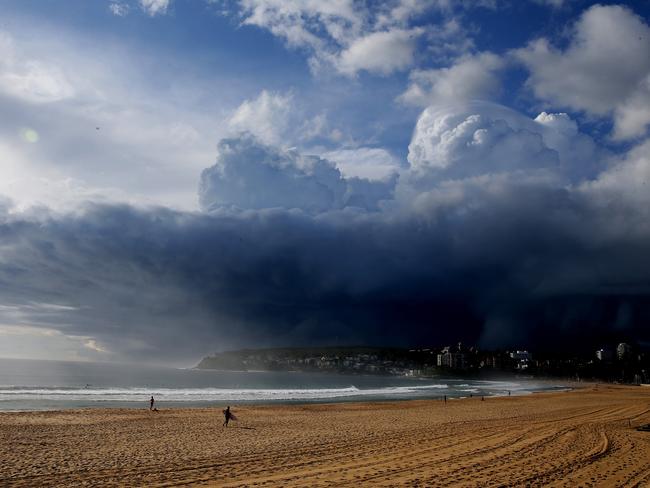 The rescue occured at North Steyne Beach Pic: Annika Enderborg