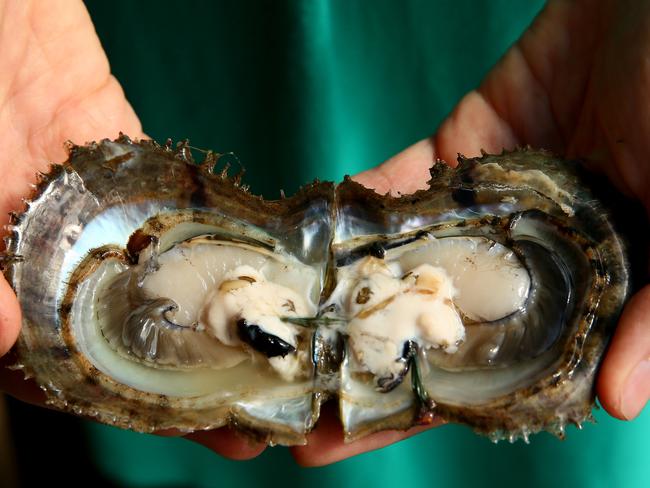 Cygnet Bay Pearls buys into Broken Bay Pearls | Daily Telegraph